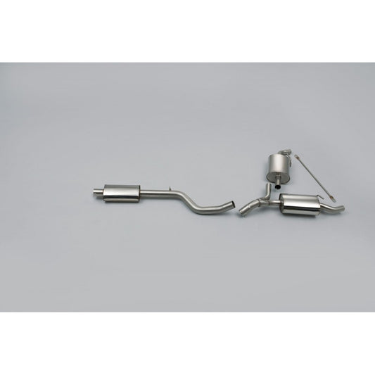 Milltek Exhaust - Renault CLIO 200 (INC. CUP) Cat-back Exhaust SSXRN306