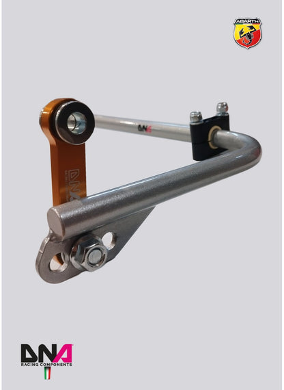 FIAT 500 REAR ADJUSTABLE TORSION BAR KIT - DNA RACING