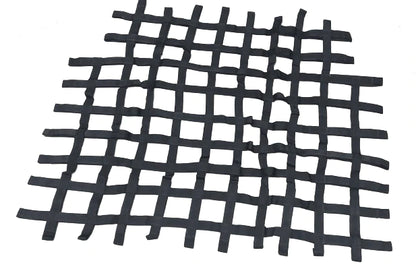 Genuine Abarth Race Cage Netting - 500 Abarth Biposto